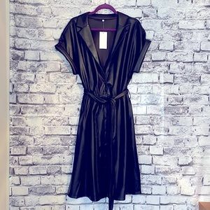 Adore Me Faux Leather Fit and Flare